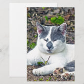 Little Mister Pants (Front/Back)