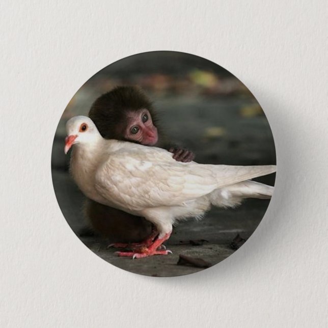 Little Monkey Hugging Bird Pinback Button (Front)