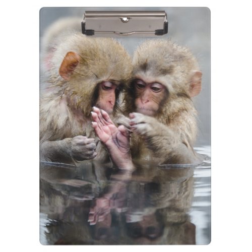 Little Monkeys  Hot Springs Japan Clipboard