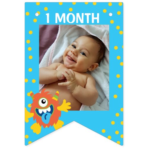 Little Monster 1st birthday decor monthly photo Bunting Flags