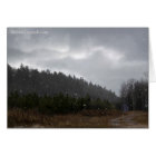 Little Mountain Shack