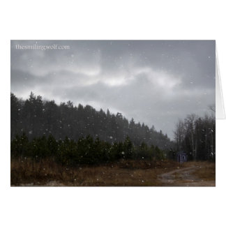 Little Mountain Shack Cards
