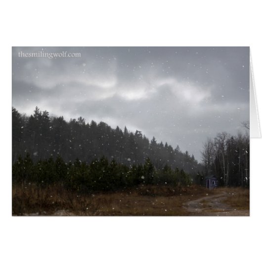 Little Mountain Shack Cards (Front Horizontal)