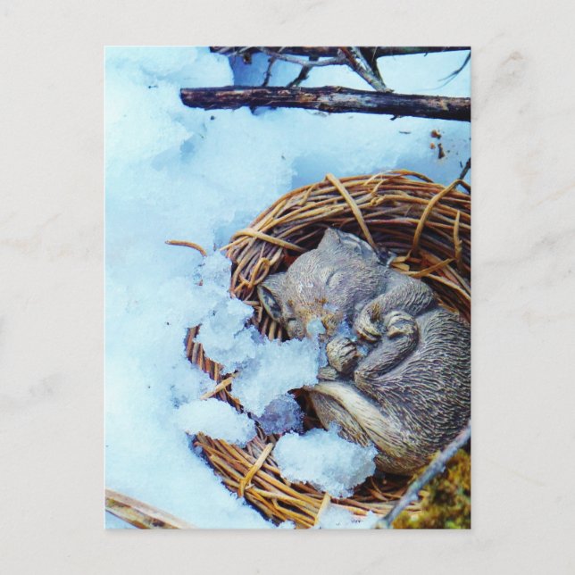 Little mouse sleeping in the snow postcard (Front)