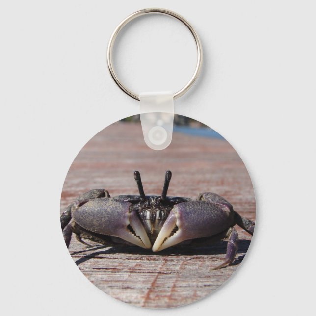 Little Mud Crab Keychain (Front)