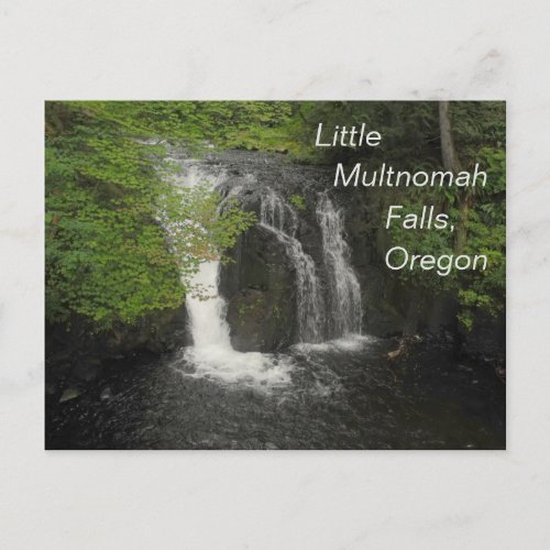 Little Multnomah Falls Oregon Photo  Postcard