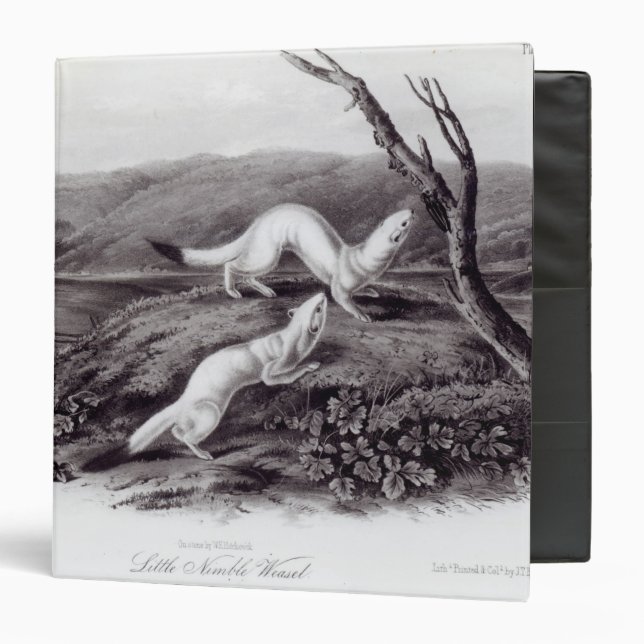 Little Nimble Weasel Binder (Front/Inside)
