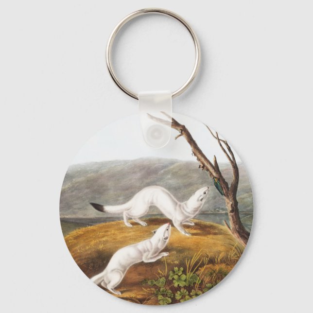 Little Nimble Weasel Putorius agilis Illustration Keychain (Front)