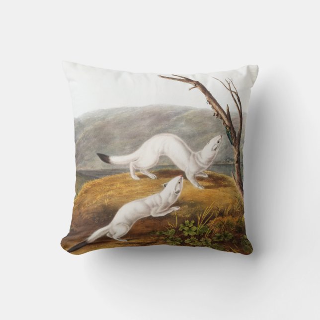 Little Nimble Weasel Putorius agilis Illustration Throw Pillow (Front)