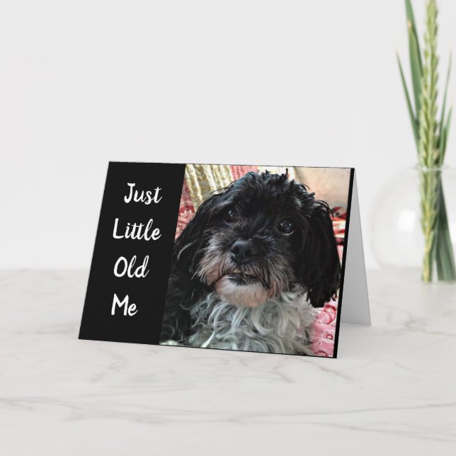 LITTLE OLD ME ASKS  **HOW ARE YOU?*** CARD (Front)