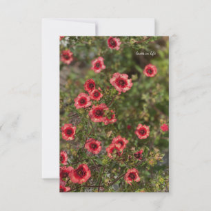 Little Orange Flowers Note Card