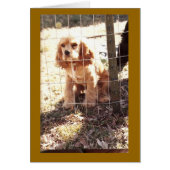 little outlaw (Front)