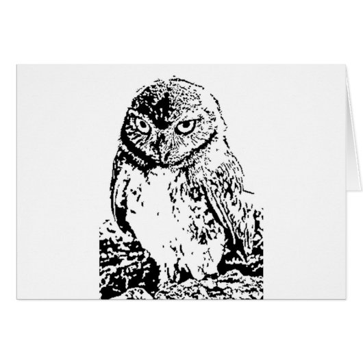 little owl (Front Horizontal)