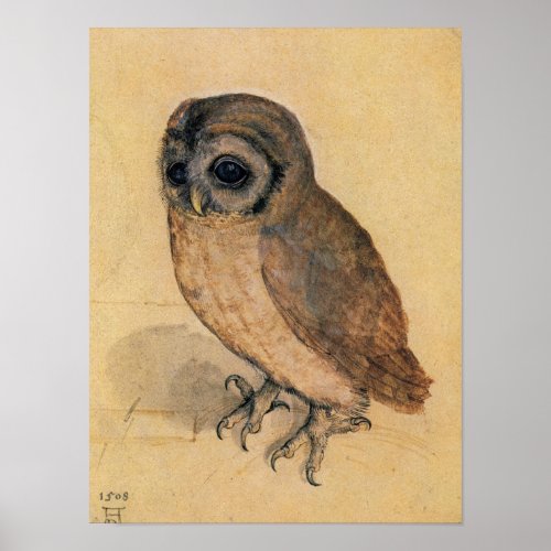 Little Owl 1508 by Albrecht Durer Poster