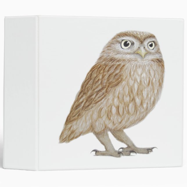 Little Owl 2011 Binder (Front/Spine)