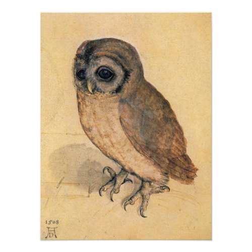 Little Owl by Albrecht Durer Photo Print