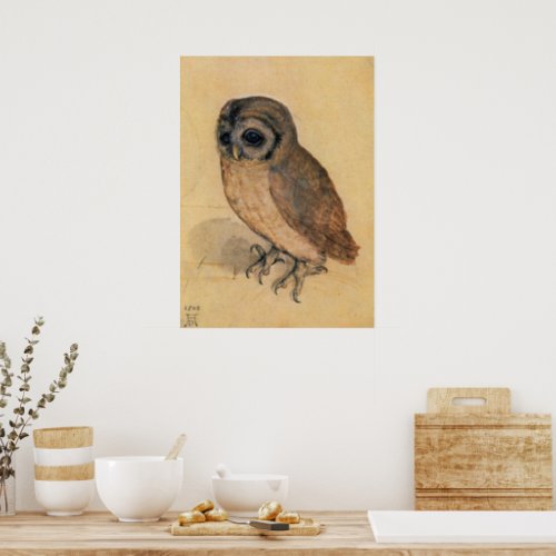 Little Owl by Albrecht Durer Poster