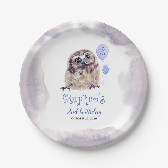 Little Owl Cute Blue Birthday Paper Plates (Front)