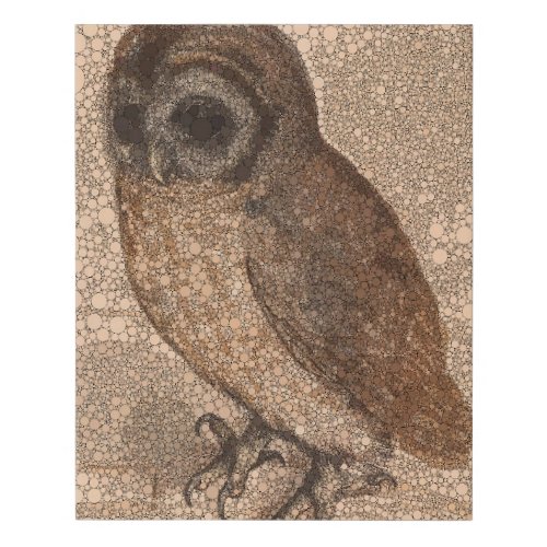 Little Owl Infinity Dots by After Albrecht Durer Faux Canvas Print