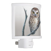 little owl night light (Right)