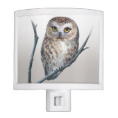 little owl night light (Front)