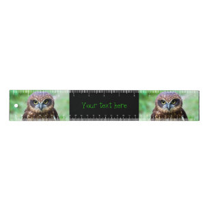 Little Owl Ruler