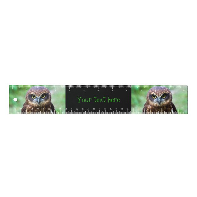 Little Owl Ruler (Front)