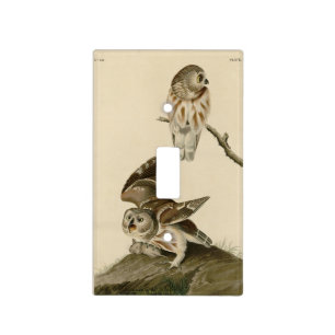 Little Owl (Saw-whet) Audubon's Birds of America Light Switch Cover