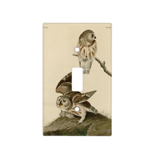 Little Owl Saw_whet Audubons Birds of America Light Switch Cover