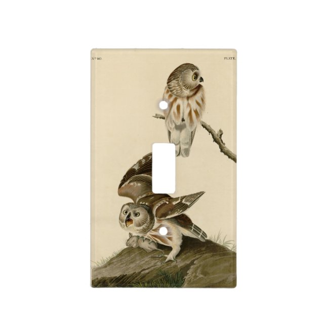 Little Owl (Saw-whet) Audubon's Birds of America Light Switch Cover (Front)