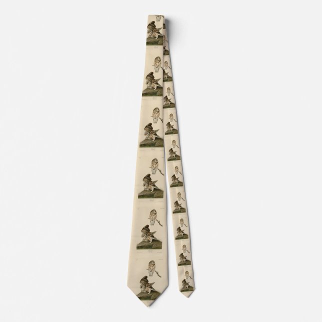 Little Owl (Saw-whet) Audubon's Birds of America Neck Tie (Front)