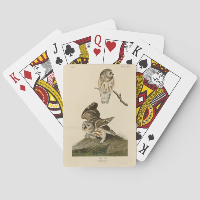 Little Owl (Saw-whet) Audubon's Birds of America Poker Cards (Back)