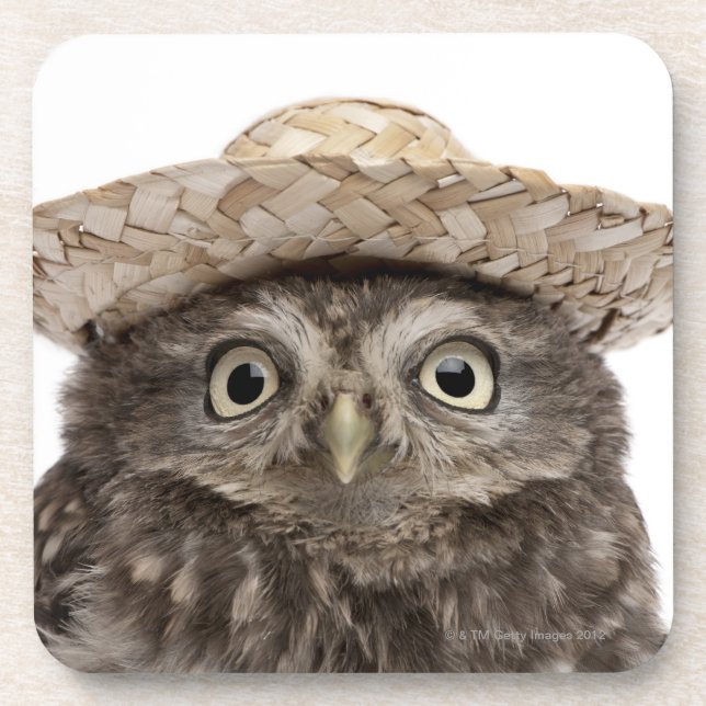 Little Owl wearing a straw hat - Athene noctua Beverage Coaster (Front)