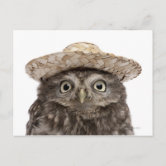EULE ** Postcard #  333 Postkarte   athene noctua   OWL 