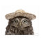 Little Owl wearing a straw hat - Athene noctua