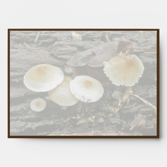 Little Parasols Mushrooms on Log Envelope (Front)