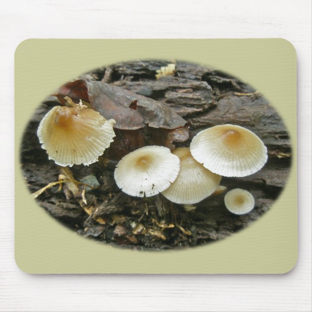 Little Parasols Mushrooms on Log Mouse Pad (Front)