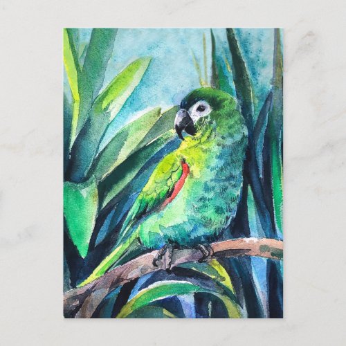 Little parrot postcard