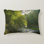 Little Patuxent River from Savage Park Accent Pillow