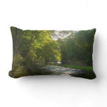 Little Patuxent River from Savage Park Lumbar Pillow