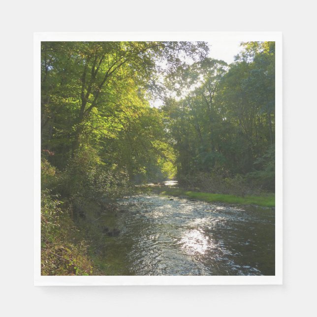 Little Patuxent River from Savage Park Napkins (Front)