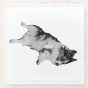 Little Peace Glass Coaster