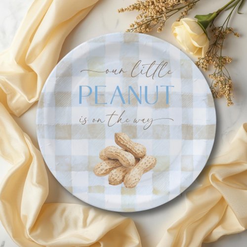 Little Peanut Boy Blue Gingham Baby Shower Paper Plates
