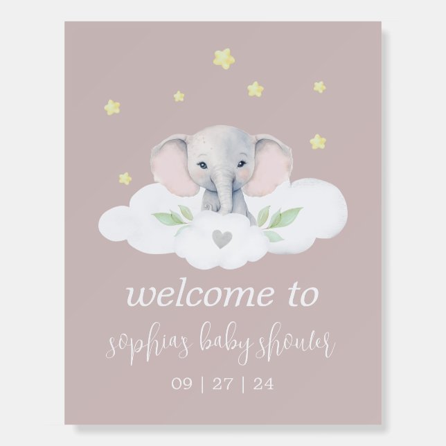 Little Peanut Girl Baby Shower Welcome Sign (Front)