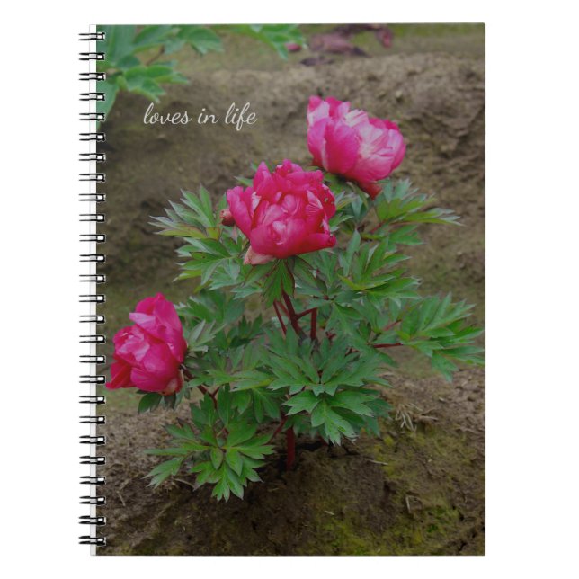 Little Peony Bush Notebook (Front)