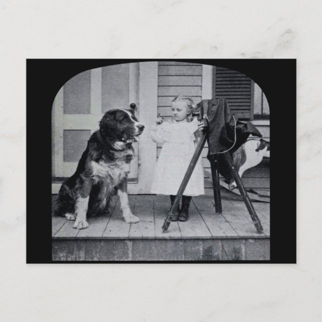 Little Photographer and Her St. Bernard Vintage Postcard (Front)