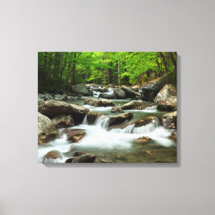 Little Pigeon River at Greenbrier Canvas Print