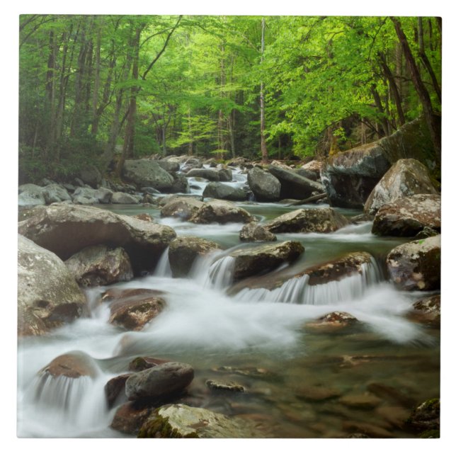 Little Pigeon River at Greenbrier Ceramic Tile (Front)