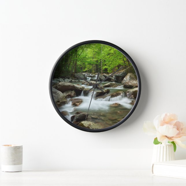 Little Pigeon River at Greenbrier Clock (Home)