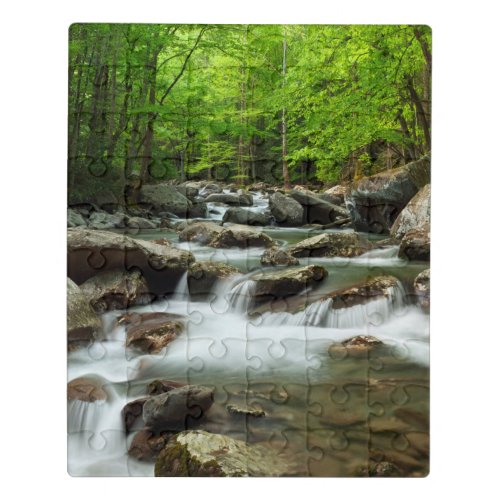 Little Pigeon River at Greenbrier Jigsaw Puzzle